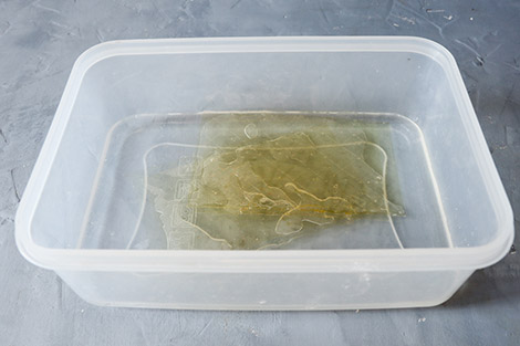 листовой желатин